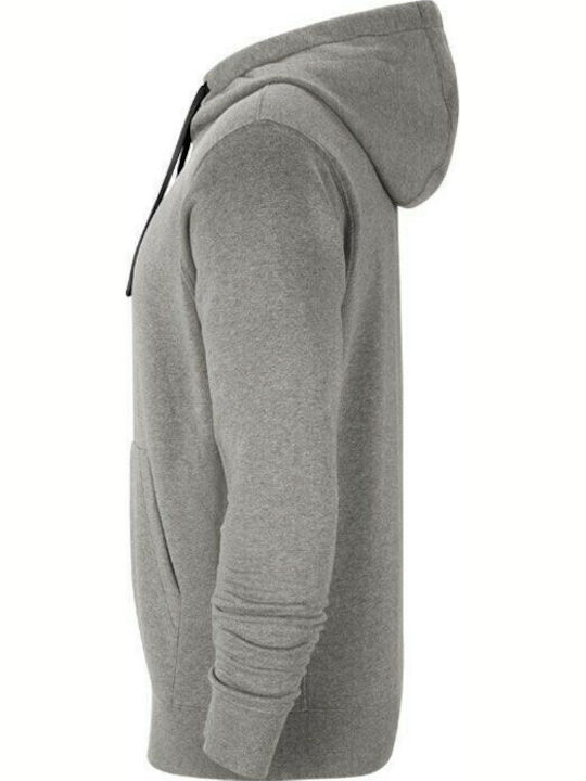 Park 20 Hoodie Jacket Gray