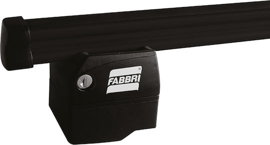 Fabbri Metallic Car Roof Bars 150cm for Citroen Nemo Set with Roof Rack Legs