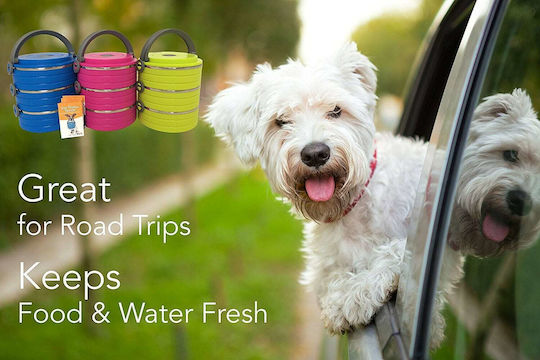 Healthy Human On The Go Pet Bento Edelstahl Schalen Futter & Wasser für Hund & Katze 450ml in Grün Farbe 3Stück