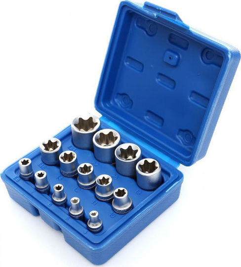 Kraft & Dele Nüsse Torx mit Vierkant-Antrieb 1/2", 1/4", 3/8" Set 14Stück