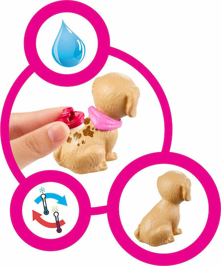 Barbie Pet Shop Doll Set for 3+ years+ Years