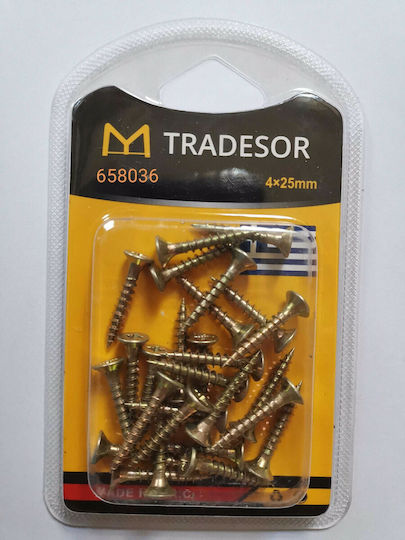 Phillips Screw with Diameter M4 and Length 25mm