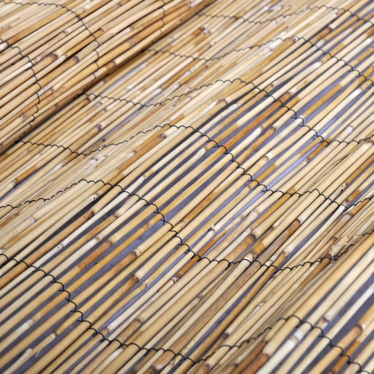 vidaXL Bamboo Fencing with Whole Reed 1x10m