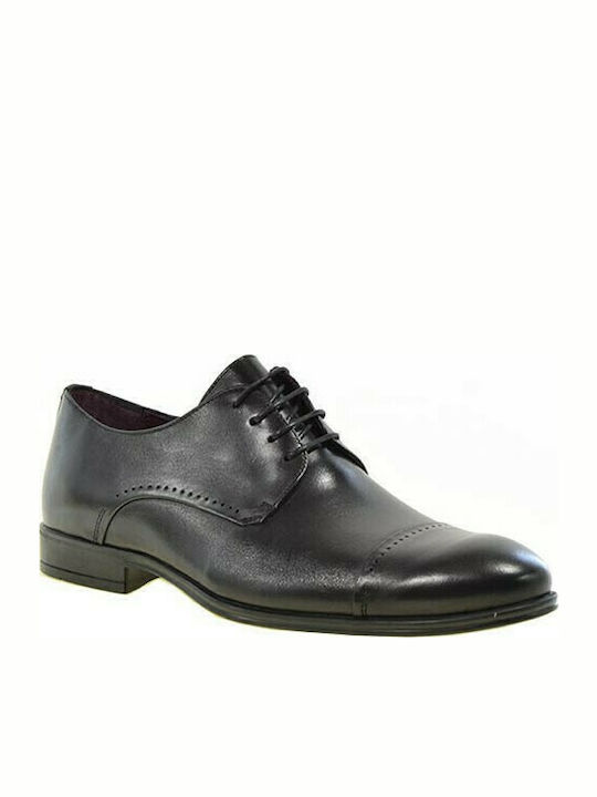 Damiani 190 Leder Herren Oxfords Schwarz