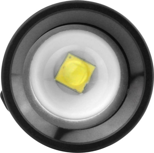 Ansmann Lanternă LED cu Luminozitate Maximă 240lm M200F 2buc Negru