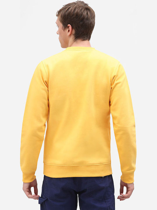 Dickies Pittsburgh Men's Sweatshirt Yellow