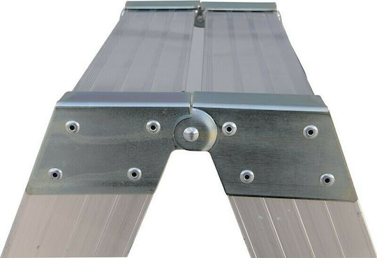 Profal Aluminum Double Staircase 2x11