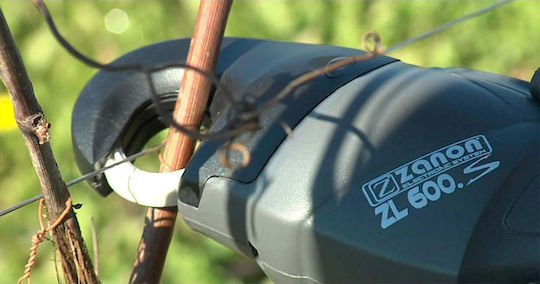 Zanon ZL 600 S Връзка За Растения Електронна 1.040.106