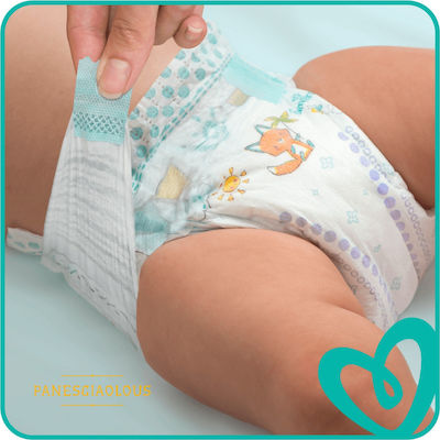 Pampers Scutece cu bandă adezivă Active Baby Active Baby Nr. 6 pentru 13-18 kgkg 96buc