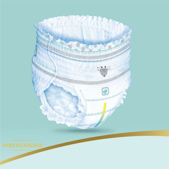 Pampers Diaper Pants Premium Care 1+1 No. 6 for 15+kg 62pcs