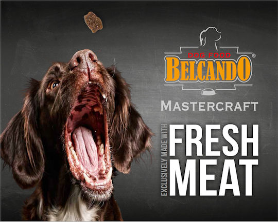 Belcando Mastercraft Fresh Turkey 0.5kg Ξηρά Τροφή χωρίς Σιτηρά για Ενήλικους Σκύλους με Γαλοπούλα