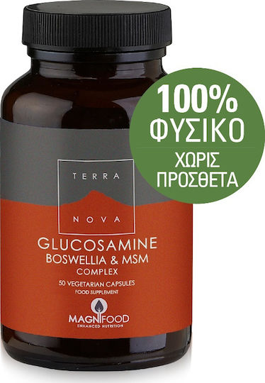 TerraNova Glucosamine Boswellia & MSM Complex Συμπλήρωμα για την Υγεία των Αρθρώσεων 50 φυτικές κάψουλες