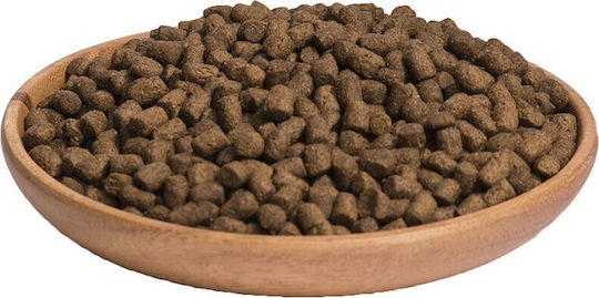 Wellness Core Ocean Dry Food Grain-Free for Adult Cats with Salmon / Ton 1.75kg