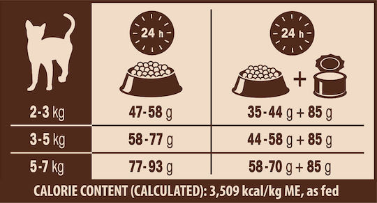 Wellness Core Grain Free Sterilised Dry Food Grain-Free for Adult Sterilized Cats with Sensitive Urinary with Salmon 1.75kg