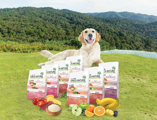 Gheda Unica Natura Maxi 12kg Hrană Uscată pentru Câini de Rase Medii & Mari fără Gluten cu Somon și Orez