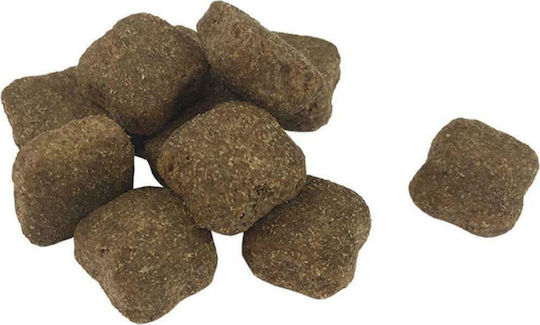 Premium Maxi Adult Essence 15kg Dry Food for Adult Large Breed Dogs with Beef and Chicken