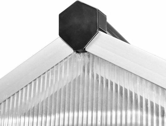 vidaXL 41317 Greenhouse House Type with Aluminum Frame 2.42x1.9x1.95m