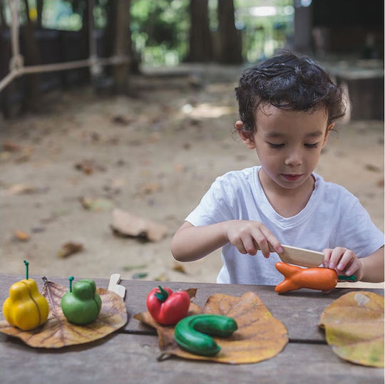 Plan Toys Φρούτα & Λαχανικά από Ξύλο