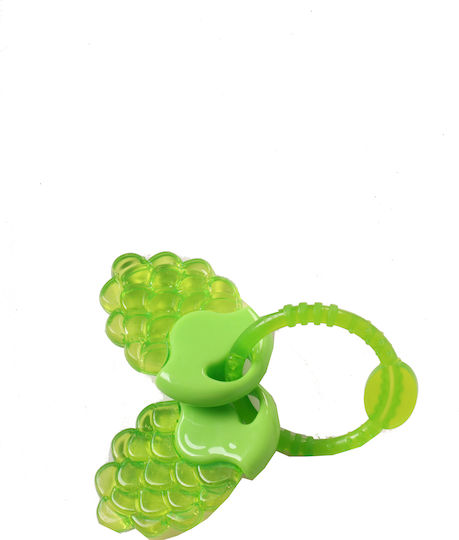 Moni Grape Teething Rattle with Water made of Silicone for 3 m+ Green