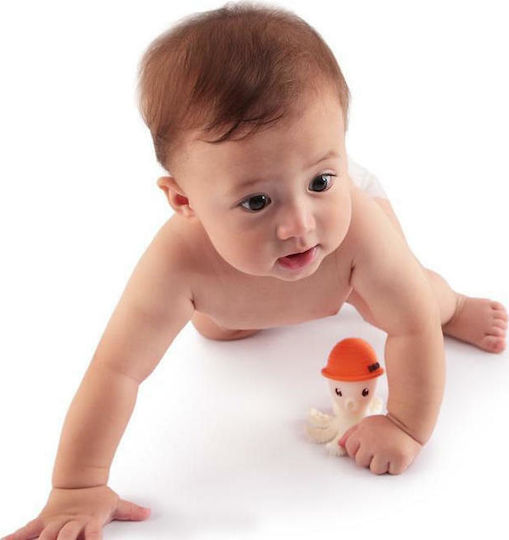 Baby to Love Octopus Silicone Teething Toy For 3 M+