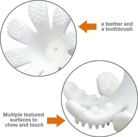 Baby to Love Octopus Silicone Teething Toy For 3 M+