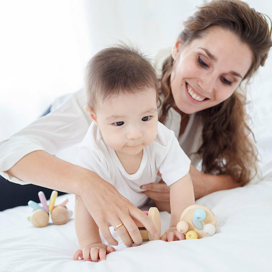 Plan Toys Entlang schieben Baby-Auto aus Holz für 0++ Monate