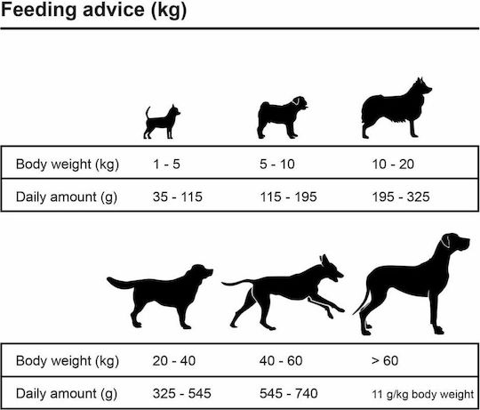 Premium Adult Essence 15kg Dry Food for Adult Dogs with Beef