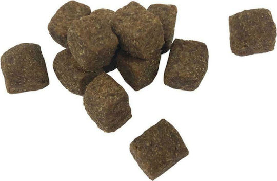 Premium Adult Active Chicken 15kg Dry Dog Food for Adult Dogs with Chicken and Fish