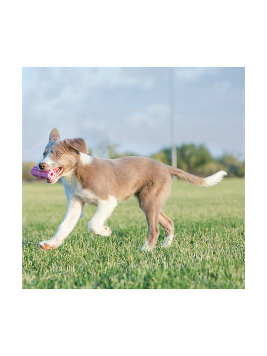 Kong Puppy Teething Stick Παιχνίδι Μασητικό από Καουτσούκ Large 14εκ.