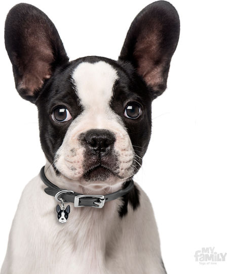 My Family Friends Boston Terrie Dog ID Tag White Metal Personalized
