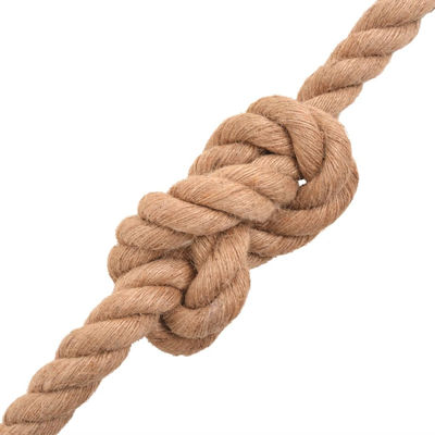 vidaXL Twisted 14mm Jute Rope 100m