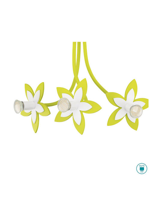Nowodvorski Flowers