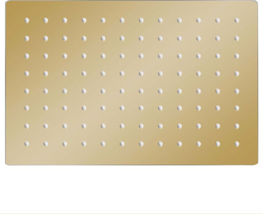 vidaXL Ορθογώνια Κεφαλή Ντουζ 20x20cm Gold