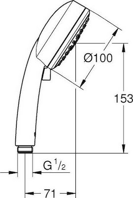 Grohe Tempesta Cosmo Handheld Showerhead