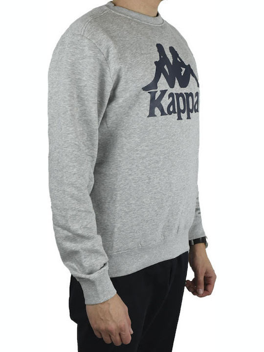 Sertum Sweatshirt Gray