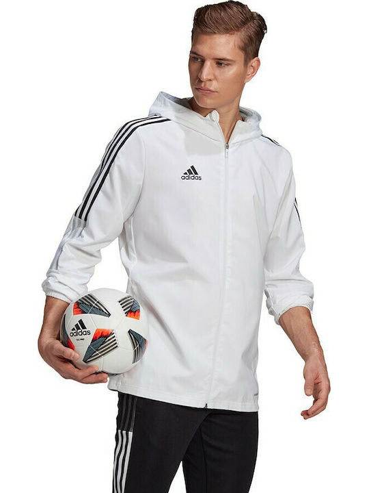 adidas adidas
