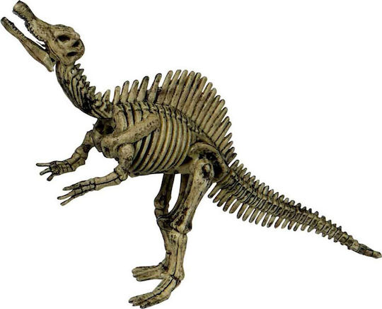 Die Spiegelburg Excavation Kit Spinosaurus T-Rex World Educational Game Dinosaur Excavation for 6+ years old Years Old