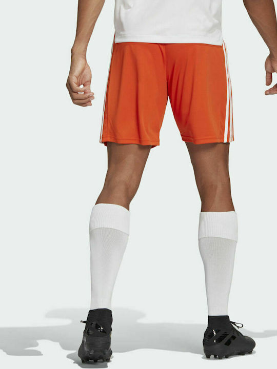 Adidas Squadra 21 Kurze Hosen Aussehen Fußball