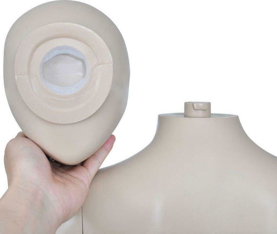 vidaXL Display Mannequin 30026
