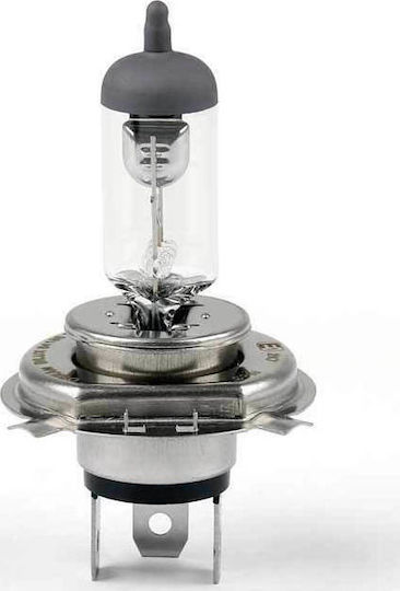 Osram Lampen Motorrad Night Racer 50 HS1 Halogen 12V 35W 1Stück