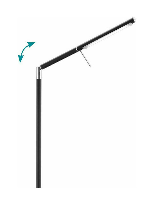 Trio Lighting Filigran LED Stehleuchte H162xB52cm. mit Warmweißem Licht Schwarz