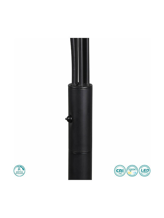 Trio Lighting Reed LED Φωτιστικό Δαπέδου Υ195.5xΜ30.5εκ. με Θερμό Λευκό Φως 350lm Μαύρο