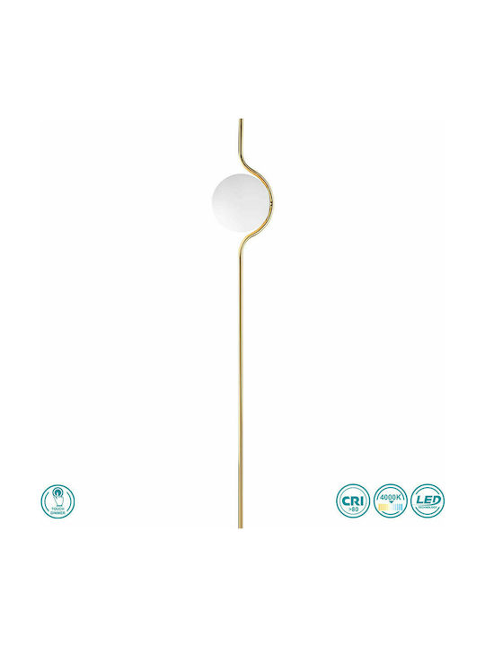 Faro Barcelona Le Vita LED Floor Lamp H118xW20cm. with Warm White Light Gold