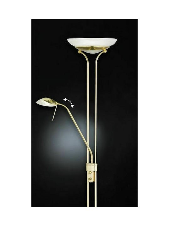 Fischer Honsel LED Floor Lamp H182xW53cm. with Warm White Light Gold