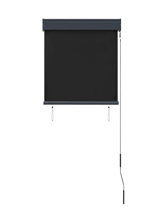vidaXL Rulou lateral de umbrire Terasă Cărbune de lemn x2.5m