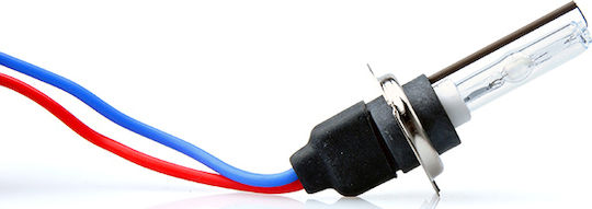 M-Tech Car Xenon Kit Slim Ballast H7 CAN Bus 12V 6000K Cold White XEN./MT