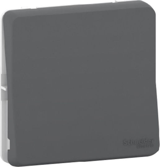 Schneider Electric Mureva Styl Front Plate Wall Push Bell Button without Frame Gray MUR35027