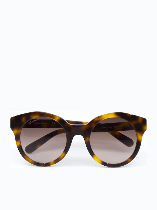 Salvatore Ferragamo Women's Sunglasses with Brown Tartaruga Plastic Frame