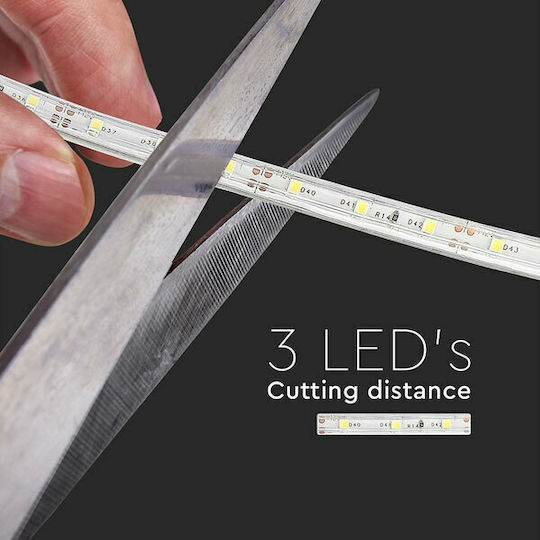 V-TAC Αδιάβροχη Ταινία LED 12V Ψυχρό Λευκό Φως 5m Τύπου SMD3528