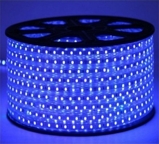 Universe Waterproof LED Strip 220V Blue Light 1m Type SMD5050